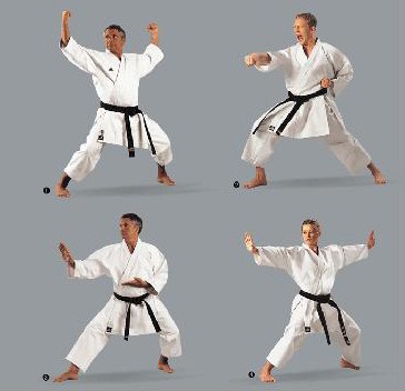 THIS ARE SOME KARATE POSITIONS